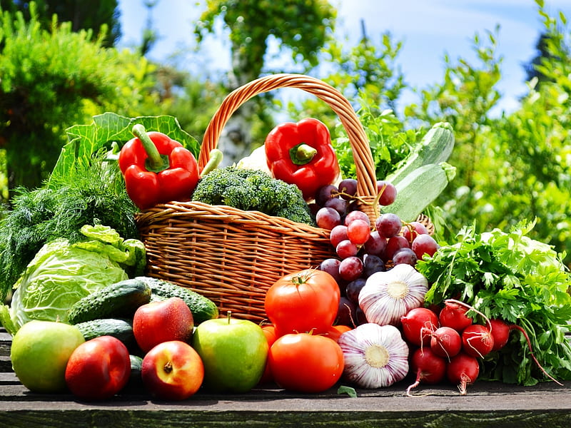 vegetable1